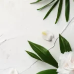 💆‍♀️마사지 앱 후기: 3가지 믿을 앱 비교하고 꿀팁🍯 얻어가세요!