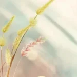 팔달구 홈타이 이용 가이드: 스웨디시 숨은 명소 총정리 ✨
