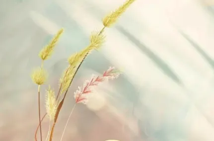 팔달구 홈타이 이용 가이드: 스웨디시 숨은 명소 총정리 ✨